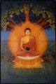 Будда Шакьямуни (Живопись Дхармачарьи Чинтамани, фотография Дхармачарьи Алокавиры)